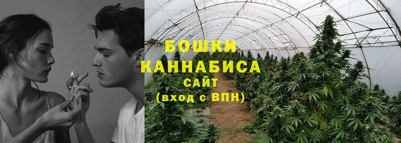 МАРИХУАНА SATIVA & INDICA  где купить наркотик  Светлоград 